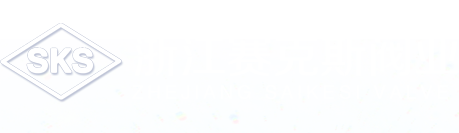 浙江賽克斯閥業